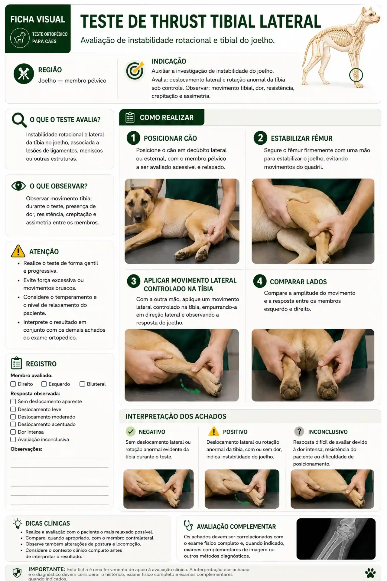 Ficha visual do teste de thrust tibial lateral em cães