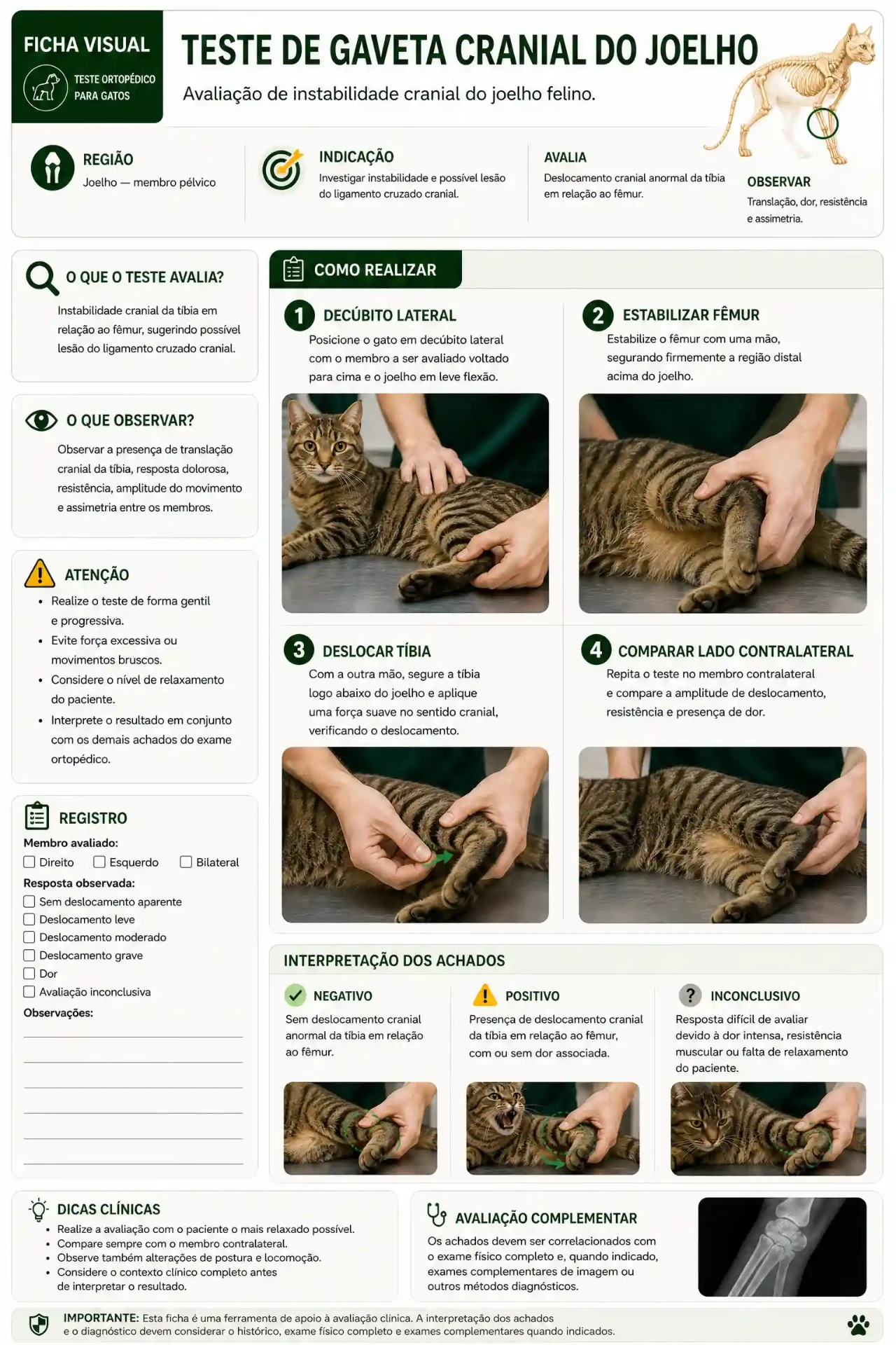 Ficha visual do teste de gaveta cranial do joelho em gatos
