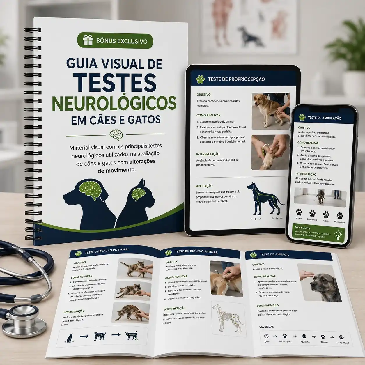 Guia Visual de Testes Neurológicos em Cães e Gatos